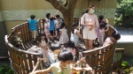 幼兒園每日教學活動分享:P6240022