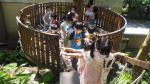 幼兒園每日教學活動分享:P6240037