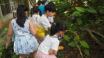 幼兒園每日教學活動分享:P6240067