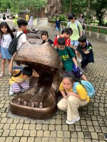 暑期多元學習教育活動01:LINE_ALBUM_114暑期夏令營_250709_13
